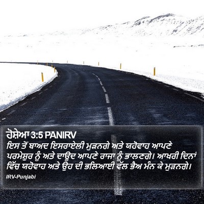 ਹੋਸ਼ੇਆ 3:5 PANIRV Bible Verse Image