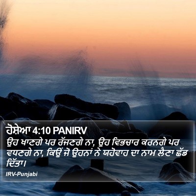 ਹੋਸ਼ੇਆ 4:10 PANIRV Bible Verse Image