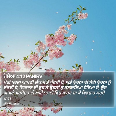 ਹੋਸ਼ੇਆ 4:12 PANIRV Bible Verse Image