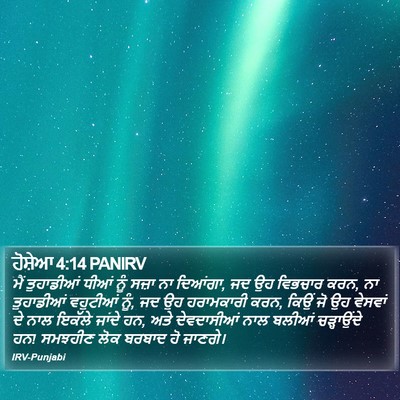 ਹੋਸ਼ੇਆ 4:14 PANIRV Bible Verse Image