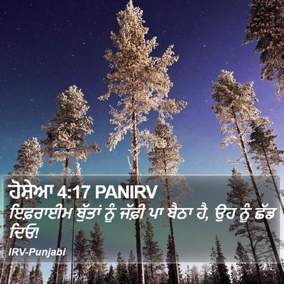 ਹੋਸ਼ੇਆ 4:17 PANIRV Bible Verse Image