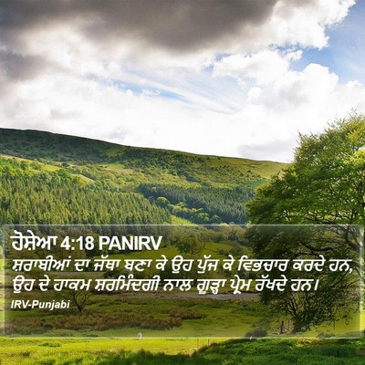 ਹੋਸ਼ੇਆ 4:18 PANIRV Bible Verse Image