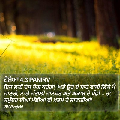 ਹੋਸ਼ੇਆ 4:3 PANIRV Bible Verse Image