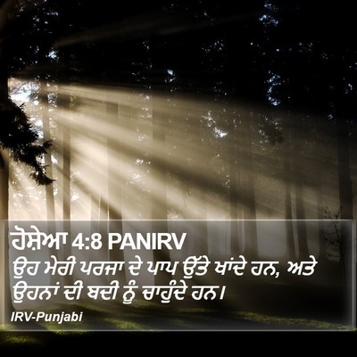 ਹੋਸ਼ੇਆ 4:8 PANIRV Bible Verse Image