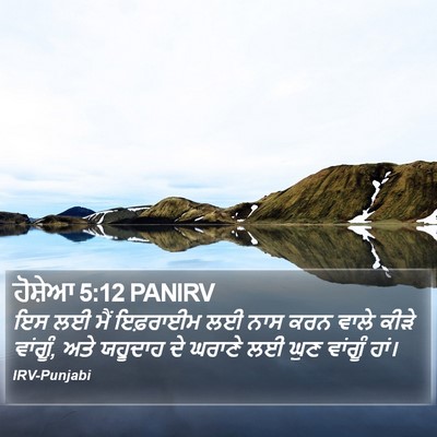 ਹੋਸ਼ੇਆ 5:12 PANIRV Bible Verse Image