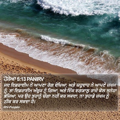 ਹੋਸ਼ੇਆ 5:13 PANIRV Bible Verse Image