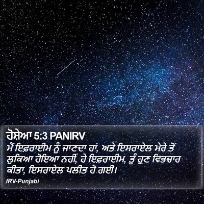 ਹੋਸ਼ੇਆ 5:3 PANIRV Bible Verse Image