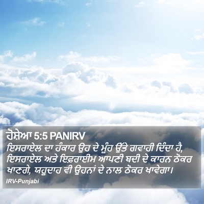ਹੋਸ਼ੇਆ 5:5 PANIRV Bible Verse Image
