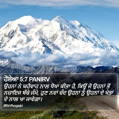 ਹੋਸ਼ੇਆ 5:7 PANIRV Bible Verse Image