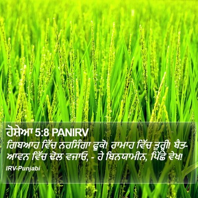 ਹੋਸ਼ੇਆ 5:8 PANIRV Bible Verse Image