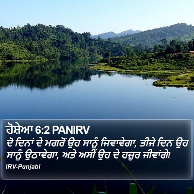 ਹੋਸ਼ੇਆ 6:2 PANIRV Bible Verse Image