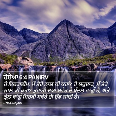 ਹੋਸ਼ੇਆ 6:4 PANIRV Bible Verse Image