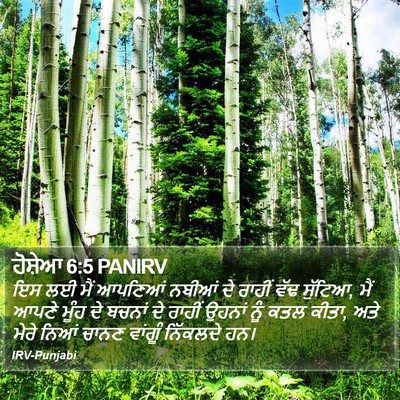 ਹੋਸ਼ੇਆ 6:5 PANIRV Bible Verse Image