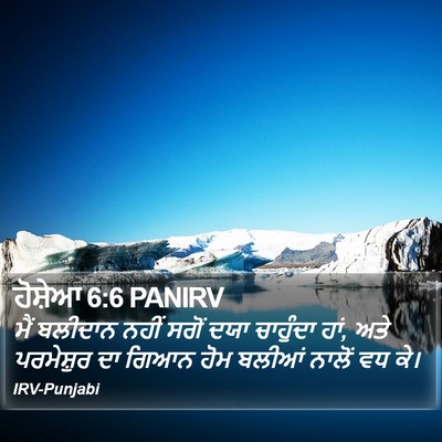 ਹੋਸ਼ੇਆ 6:6 PANIRV Bible Verse Image
