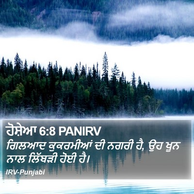 ਹੋਸ਼ੇਆ 6:8 PANIRV Bible Verse Image