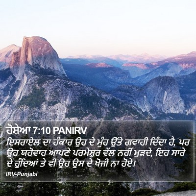 ਹੋਸ਼ੇਆ 7:10 PANIRV Bible Verse Image