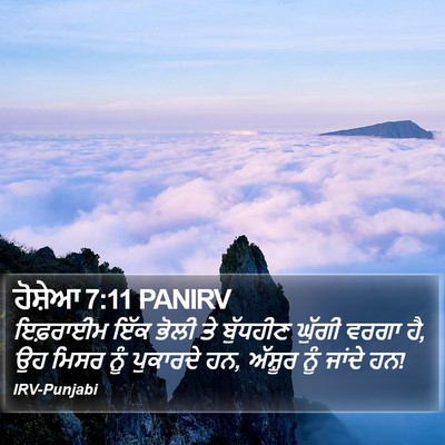 ਹੋਸ਼ੇਆ 7:11 PANIRV Bible Verse Image
