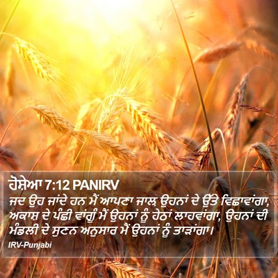 ਹੋਸ਼ੇਆ 7:12 PANIRV Bible Verse Image