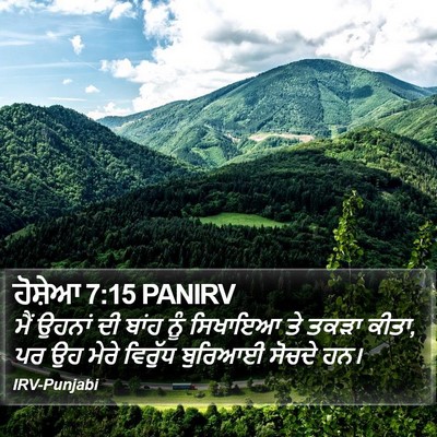 ਹੋਸ਼ੇਆ 7:15 PANIRV Bible Verse Image