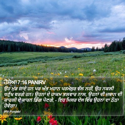 ਹੋਸ਼ੇਆ 7:16 PANIRV Bible Verse Image