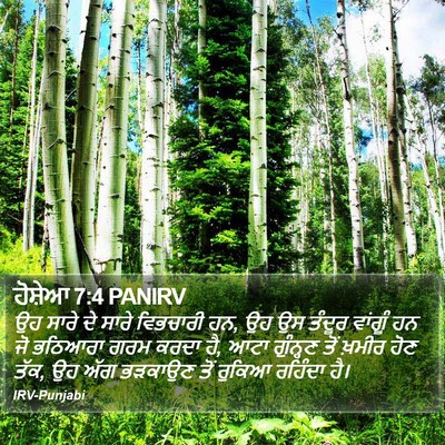 ਹੋਸ਼ੇਆ 7:4 PANIRV Bible Verse Image