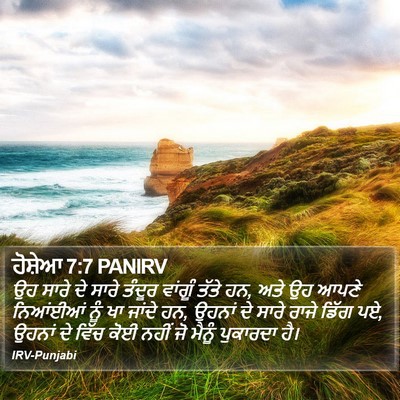 ਹੋਸ਼ੇਆ 7:7 PANIRV Bible Verse Image