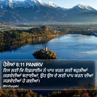 ਹੋਸ਼ੇਆ 8:11 PANIRV Bible Verse Image