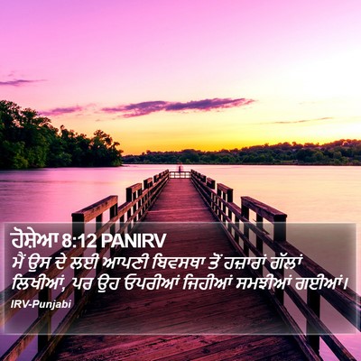 ਹੋਸ਼ੇਆ 8:12 PANIRV Bible Verse Image