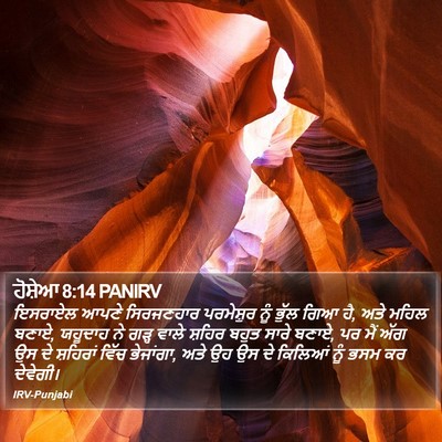 ਹੋਸ਼ੇਆ 8:14 PANIRV Bible Verse Image