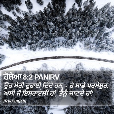 ਹੋਸ਼ੇਆ 8:2 PANIRV Bible Verse Image