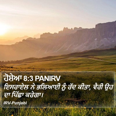 ਹੋਸ਼ੇਆ 8:3 PANIRV Bible Verse Image
