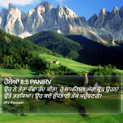 ਹੋਸ਼ੇਆ 8:5 PANIRV Bible Verse Image