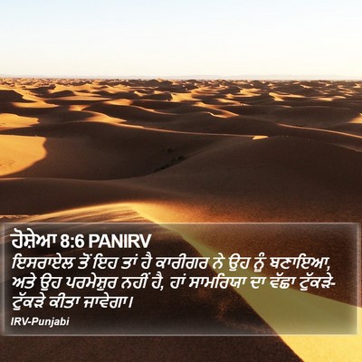 ਹੋਸ਼ੇਆ 8:6 PANIRV Bible Verse Image