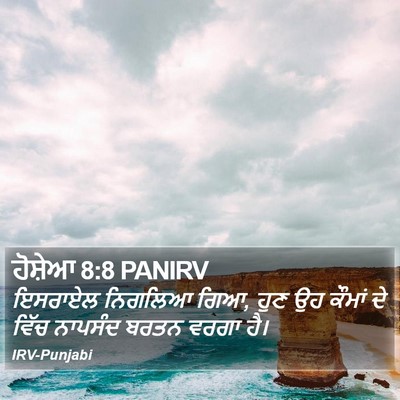 ਹੋਸ਼ੇਆ 8:8 PANIRV Bible Verse Image