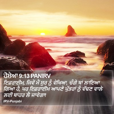 ਹੋਸ਼ੇਆ 9:13 PANIRV Bible Verse Image
