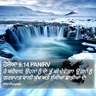 ਹੋਸ਼ੇਆ 9:14 PANIRV Bible Verse Image