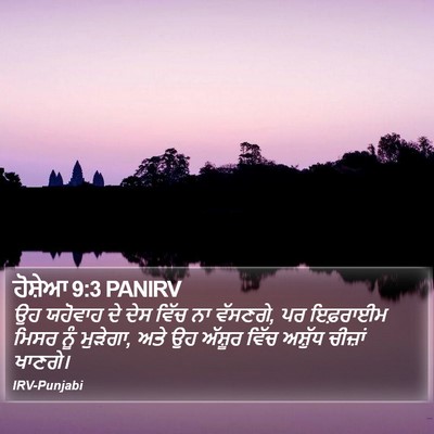 ਹੋਸ਼ੇਆ 9:3 PANIRV Bible Verse Image
