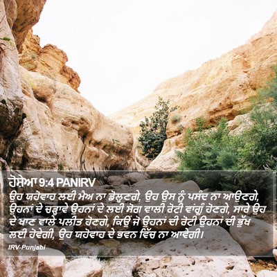 ਹੋਸ਼ੇਆ 9:4 PANIRV Bible Verse Image