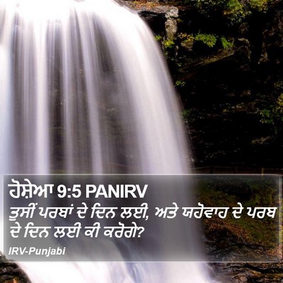 ਹੋਸ਼ੇਆ 9:5 PANIRV Bible Verse Image