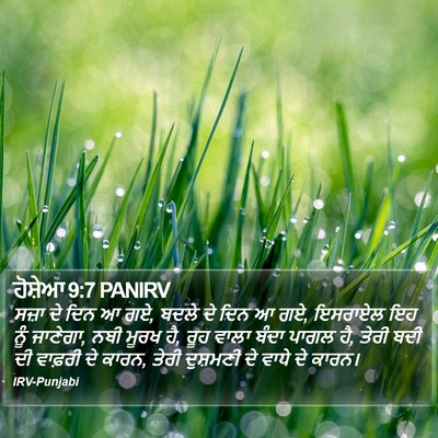 ਹੋਸ਼ੇਆ 9:7 PANIRV Bible Verse Image