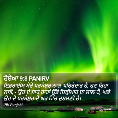ਹੋਸ਼ੇਆ 9:8 PANIRV Bible Verse Image