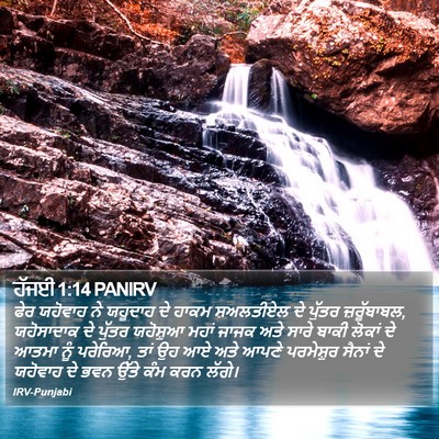 ਹੱਜਈ 1:14 PANIRV Bible Verse Image