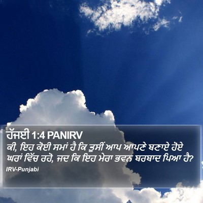 ਹੱਜਈ 1:4 PANIRV Bible Verse Image