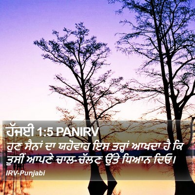 ਹੱਜਈ 1:5 PANIRV Bible Verse Image