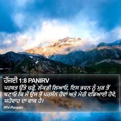 ਹੱਜਈ 1:8 PANIRV Bible Verse Image