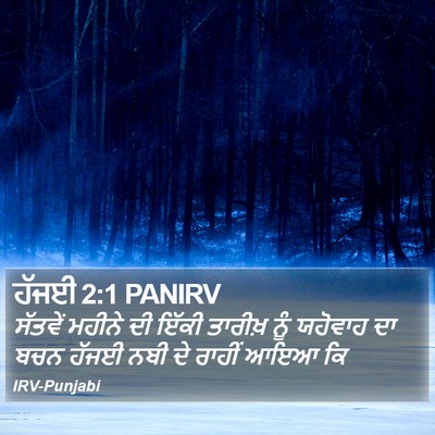ਹੱਜਈ 2:1 PANIRV Bible Verse Image