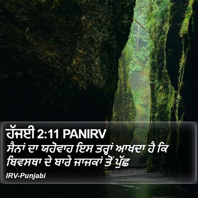 ਹੱਜਈ 2:11 PANIRV Bible Verse Image