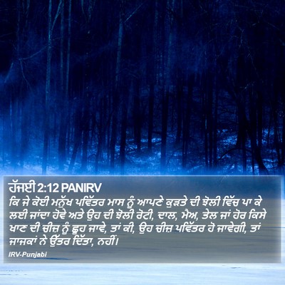 ਹੱਜਈ 2:12 PANIRV Bible Verse Image