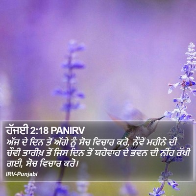 ਹੱਜਈ 2:18 PANIRV Bible Verse Image