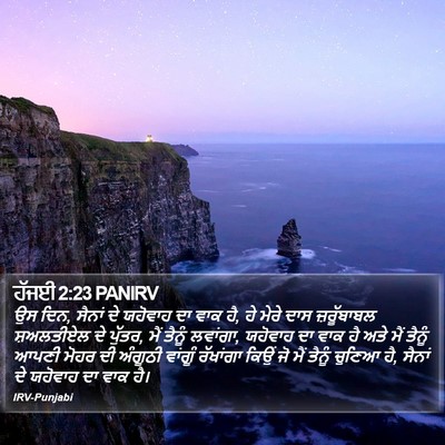 ਹੱਜਈ 2:23 PANIRV Bible Verse Image
